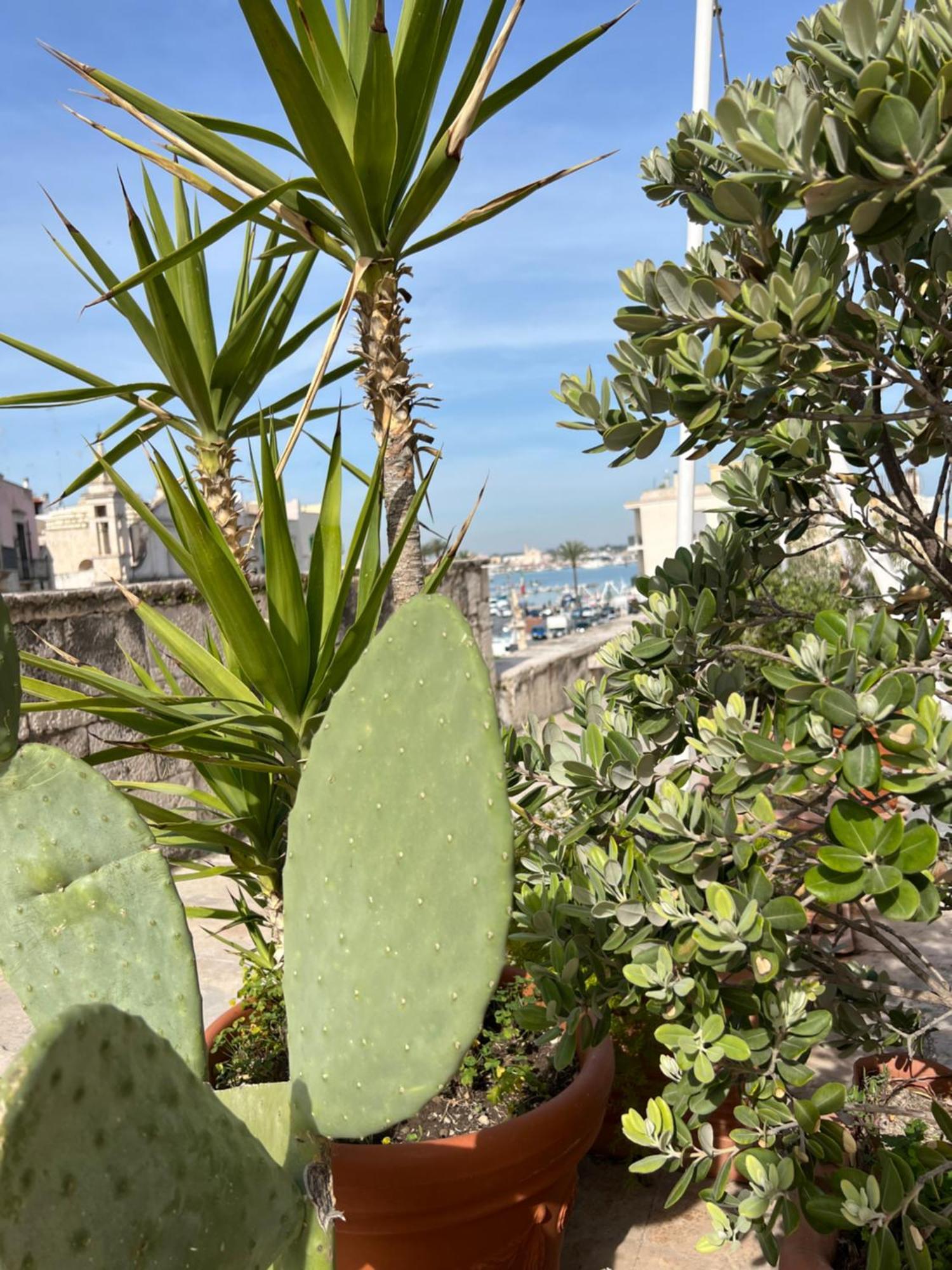 Сasa de vacaciones La Dimora Di Charme
